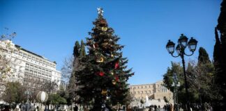 Η ιστορία του Χριστουγεννιάτικου Δέντρου