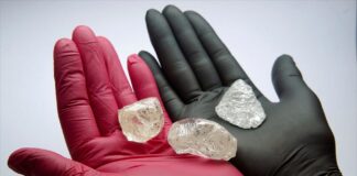 Νέα Ζηλανδία: 32χρονος κλέφτης κατάπιε 60 λευκά διαμάντια και 15 μπλε ζαφείρια