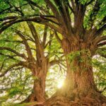 ΚΟΕ: Κίνδυνοι για μακροοικονομική σταθερότητα Κύπρου από κλιματική αλλαγή