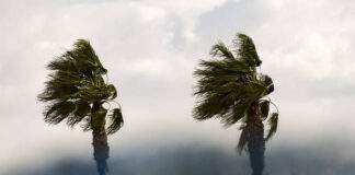 Κίτρινη προειδοποίηση για πολύ ισχυρούς ανέμους