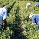 Συνάντηση με ΠτΔ και λύσεις «χθες» στο υδατικό ζητούν Παναγροτικός  και ΕΚΑ