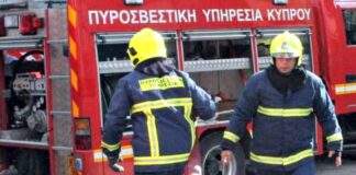 Υπό έλεγχο φωτιά στην Τραχυπέδουλα που κατέκαψε άγρια βλάστηση και αριθμό δέντρων