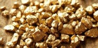 Χρυσό αξίας 800,000 δολαρίων εντόπισε ένας Γάλλος στον κήπο του