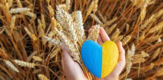 Τριετές σχέδιο για την ουκρανική γεωργία – Έκτακτη βοήθεια και ανάκαμψη