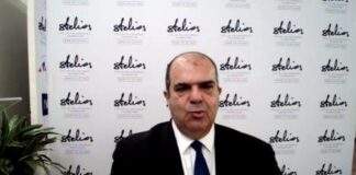 Stelios braveia