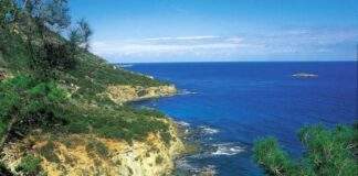 Επ. Περιβάλλοντος: Απουσία ανασχεδιασμού στο οδικό δίκτυο στον Ακάμα