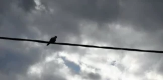 Έκτακτο δελτίο επιδείνωσης καιρού: Θα ενταθούν οι καταιγίδες στη δυτική Ελλάδα