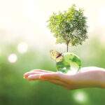 Συνέδριο για την Πράσινη Ενέργεια με στήριξη Γαλλίας-Ολλανδίας στη Λευκωσία