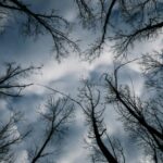 Kakokairia 2 696x464