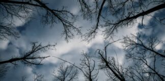 Μουντό το σκηνικό του καιρού το Σ/κ – Αναλυτικά η πρόγνωση Synnefa