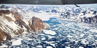 Οι καρχαρίες της Γροιλανδίας αποκαλύπτουν νέα μυστικά για την αντιγήρανση Greenland