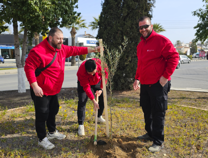 Cchbccy treeplanting 3