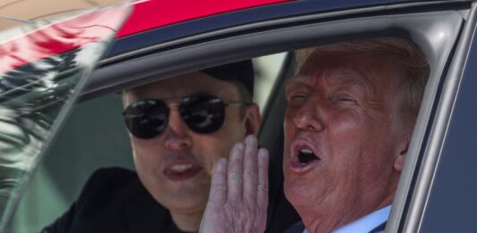 Trump musk