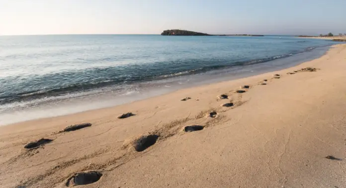 Nissi beach 68b2adbf thumb