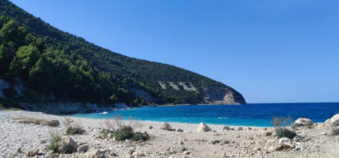 Shen nicolo bay sazan 2023 1200x560