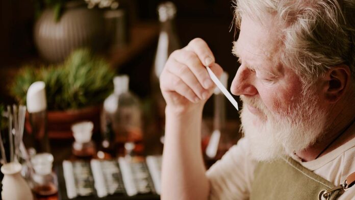 Focused,mature,perfumer,scenting,brand,new,perfume,sample,while,he