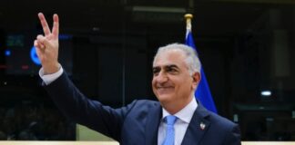 Saxis paxlavi