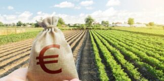 Αγροτικές Οργανώσεις: Αρνητικές επιπτώσεις για τους αγρότες της Κύπρου από τη συμφωνία Mercosur Agrotikes epidotiseis 696x473