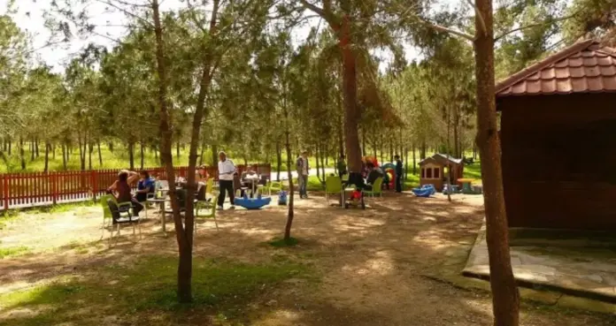 Akadimiaaa 1024x543