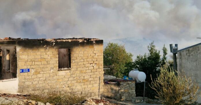 Fotia pafos