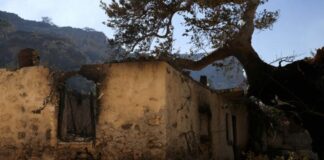 Fotia ierapetra 696x464