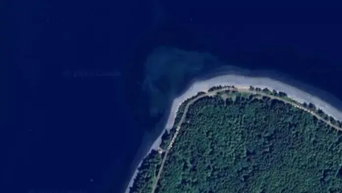 Google maps