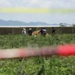 Mexico 696x464