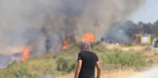 Στα 62 εκατ. ευρώ το κόστος αποκατάστασης από τις πυρκαγιές σε Αρακαπά και ορεινή Λεμεσό Pyrkagia lemesos