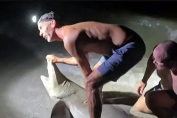 Floridasj thumb
