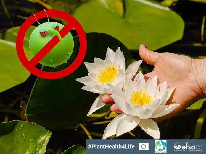 Ph4l gardeners pesty3