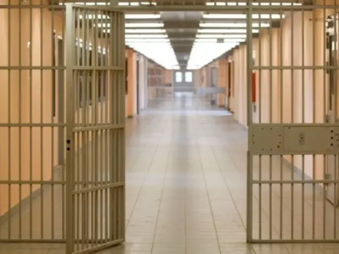 Prison ape.jpg