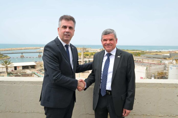 Eli cohen and george papanastasiou