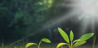 Τα 5 μεγαλύτερα περιβαλλοντικά προβλήματα της ΕΕ Perivallon 696x464