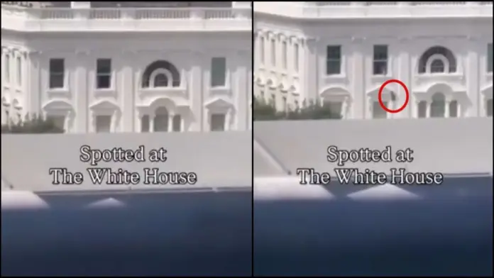 White house
