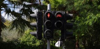 Οι γυναικείες φιγούρες, ο Σταμάτης και ο Γρηγόρης Fota figoures