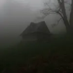 M wrona pcgxm hdmns unsplash