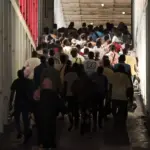 Metanasteskritilivyi eurokinissi.jpg