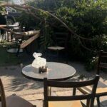 588603513 1405906841132003