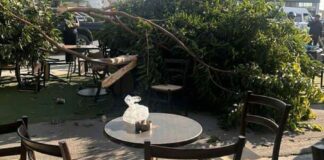 Αυτοκίνητο «καρφώθηκε» σε καφετέρια στα Λατσιά (ΦΩΤΟΓΡΑΦΙΕΣ) 588603513 1405906841132003