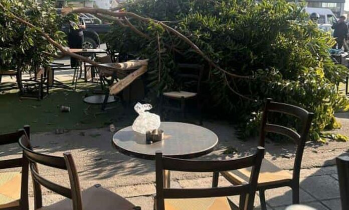 588603513 1405906841132003