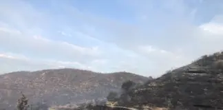 Αναζωπύρωση πυρκαγιάς στην περιοχή Στρουμπιού – Κοίλης DOC.20251124.9438255.IMG 7 1536x1152