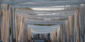 Ουκρανοί στρατιώτες στο Ντόνετσκ Screenshot 2025 11 05 102441