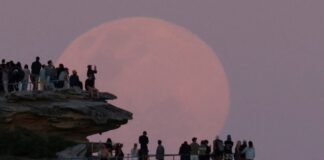 Υπερπανσέληνος ανατέλλει πάνω από το North Bondi στο Σίδνεϊ Screenshot 2025 11 06