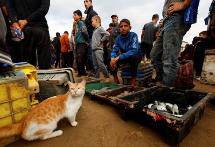 Screenshot 2025 11 13