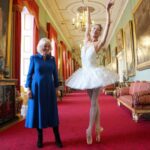 Screenshot 2025 11 14