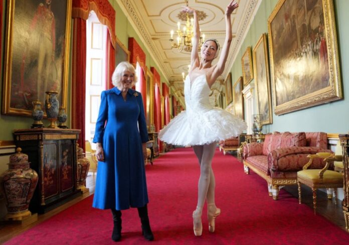 Screenshot 2025 11 14