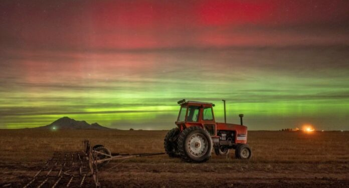 Screenshot 2025 11 17