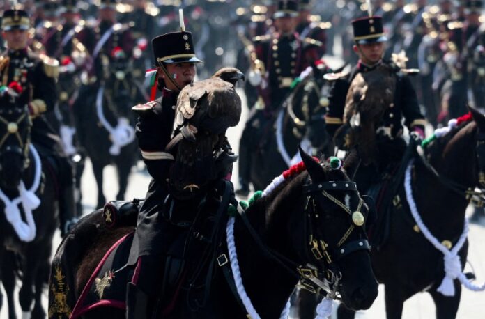 Screenshot 2025 11 24