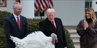 Ο Τραμπ έδωσε χάρη στις γαλοπούλες Gobble και Waddle για την Ημέρα των Ευχαριστιών Screenshot 2025 11 26