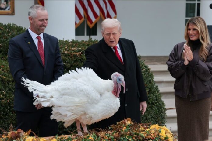 Screenshot 2025 11 26